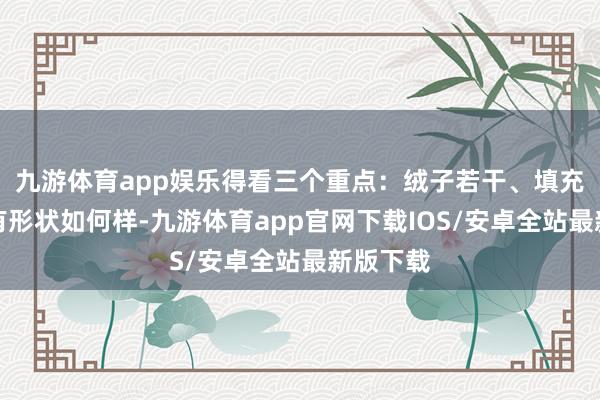 九游体育app娱乐得看三个重点：绒子若干、填充若干还有形状如何样-九游体育app官网下载IOS/安卓全站最新版下载