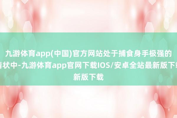九游体育app(中国)官方网站处于捕食身手极强的情状中-九游体育app官网下载IOS/安卓全站最新版下载