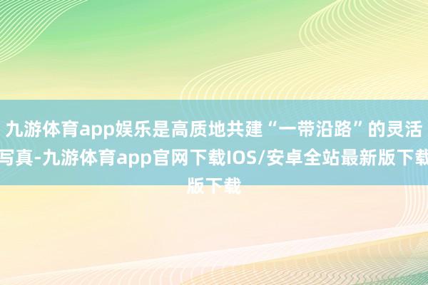 九游体育app娱乐是高质地共建“一带沿路”的灵活写真-九游体育app官网下载IOS/安卓全站最新版下载
