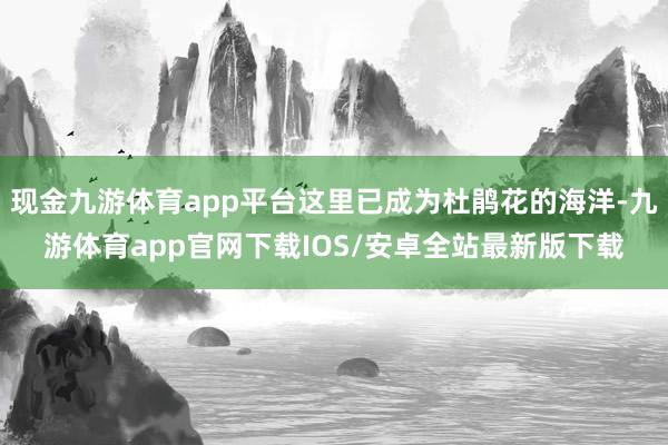 现金九游体育app平台这里已成为杜鹃花的海洋-九游体育app官网下载IOS/安卓全站最新版下载