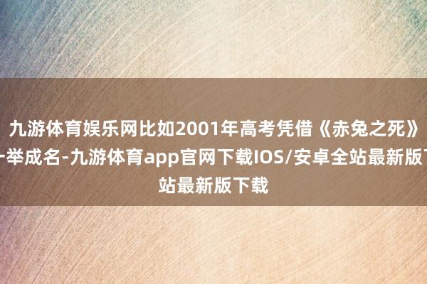 九游体育娱乐网比如2001年高考凭借《赤兔之死》而一举成名-九游体育app官网下载IOS/安卓全站最新版下载