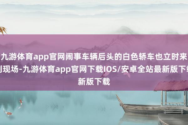 九游体育app官网闹事车辆后头的白色轿车也立时来到现场-九游体育app官网下载IOS/安卓全站最新版下载