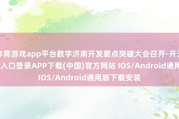 体育游戏app平台数字济南开发要点突破大会召开-开云kaiy