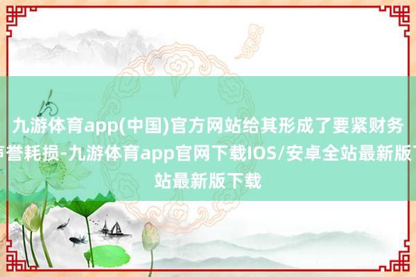 九游体育app(中国)官方网站给其形成了要紧财务和声誉耗损-九游体育app官网下载IOS/安卓全站最新版下载
