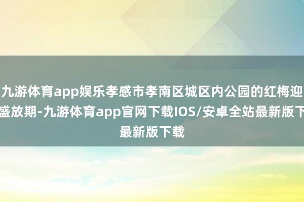 九游体育app娱乐孝感市孝南区城区内公园的红梅迎来盛放期-九游体育app官网下载IOS/安卓全站最新版下载