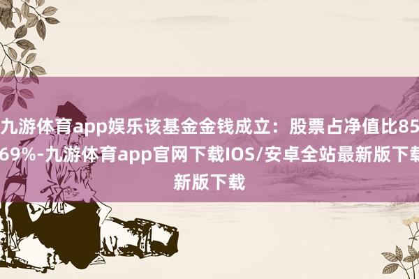 九游体育app娱乐该基金金钱成立：股票占净值比85.69%-九游体育app官网下载IOS/安卓全站最新版下载