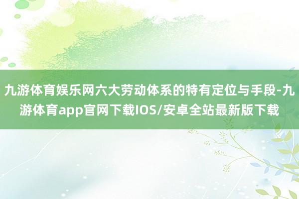 九游体育娱乐网六大劳动体系的特有定位与手段-九游体育app官网下载IOS/安卓全站最新版下载