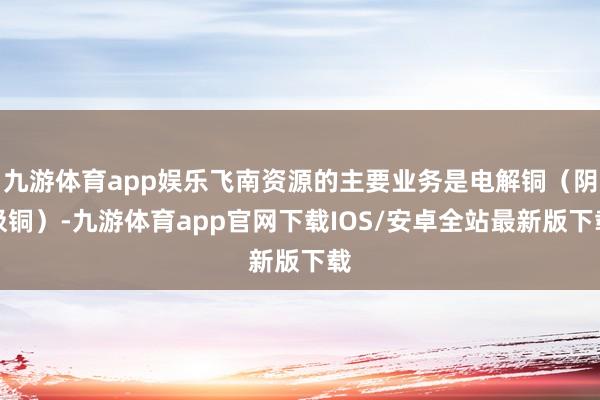九游体育app娱乐飞南资源的主要业务是电解铜（阴极铜）-九游体育app官网下载IOS/安卓全站最新版下载