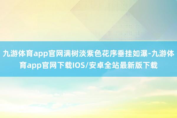 九游体育app官网满树淡紫色花序垂挂如瀑-九游体育app官网下载IOS/安卓全站最新版下载