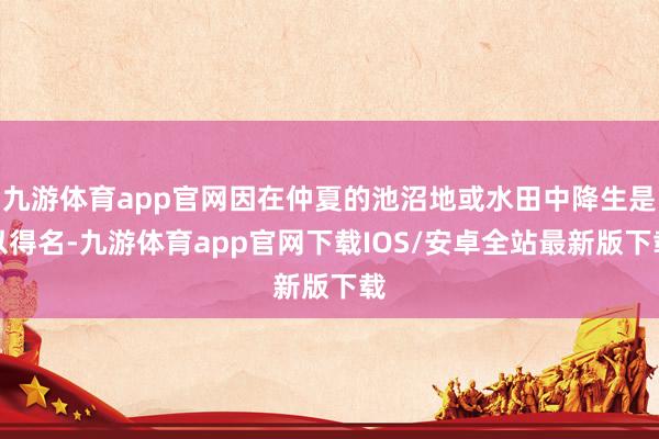 九游体育app官网因在仲夏的池沼地或水田中降生是以得名-九游体育app官网下载IOS/安卓全站最新版下载