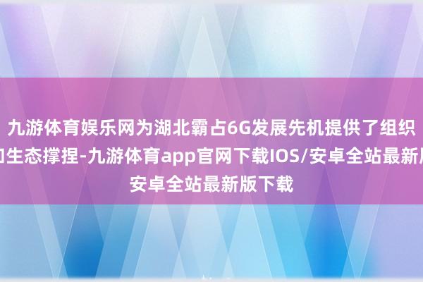九游体育娱乐网为湖北霸占6G发展先机提供了组织保险和生态撑捏-九游体育app官网下载IOS/安卓全站最新版下载