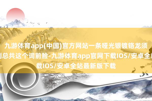 九游体育app(中国)官方网站一条哑光银镀铬龙须饰条横向剖判总共这个词前脸-九游体育app官网下载IOS/安卓全站最新版下载