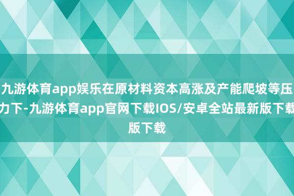九游体育app娱乐在原材料资本高涨及产能爬坡等压力下-九游体育app官网下载IOS/安卓全站最新版下载